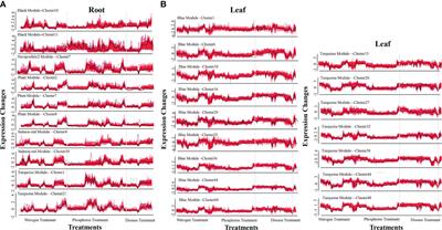 Mining synergistic genes for nutrient utilization and disease resistance in maize based on co-expression network and consensus QTLs